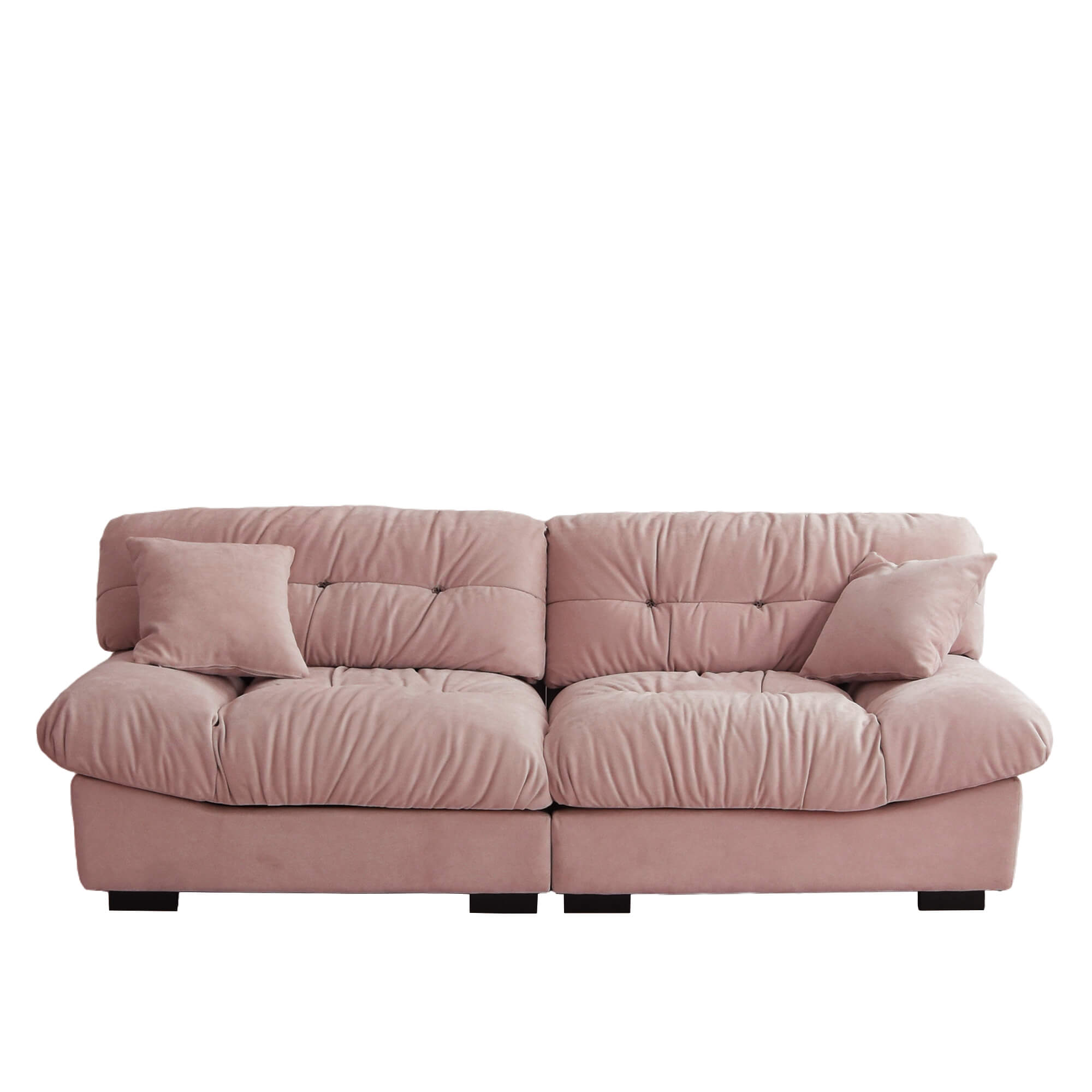 Soffice Pet-friendly Loveseat Sofa