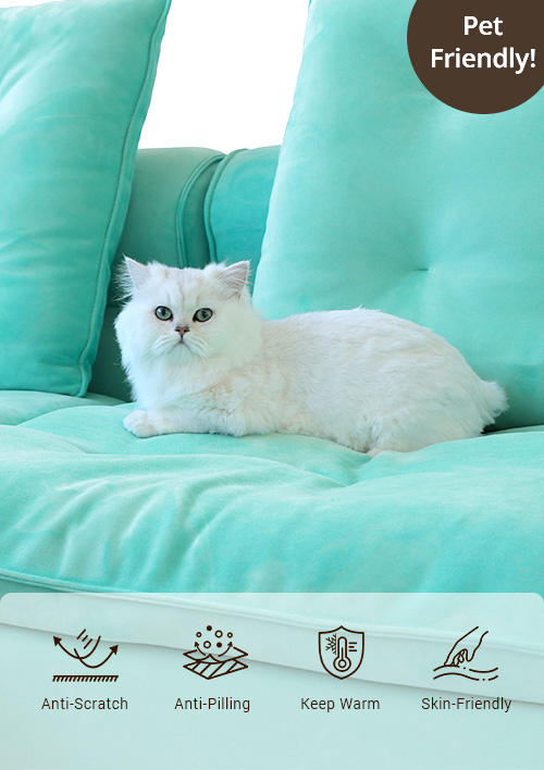 Sky Cloud Adjustable Sofa Pet-Friendly