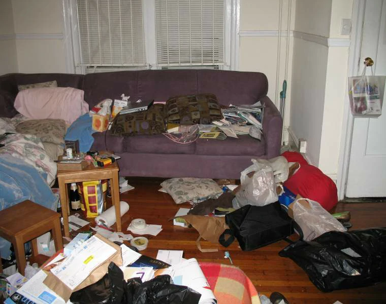 Cluttered Living Room