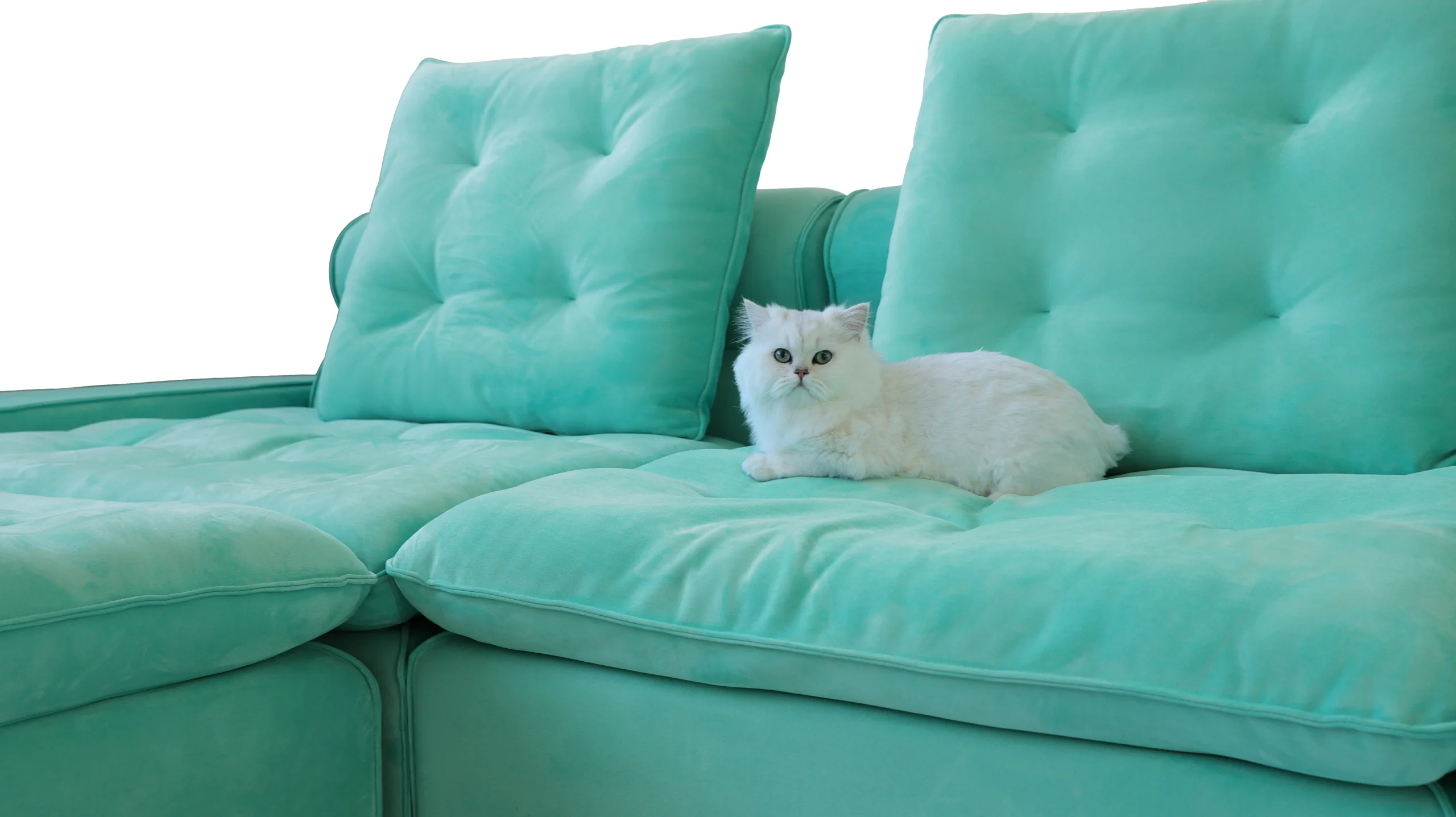 Sky Cloud Deluxe Pet Friendly Sectional Sofa