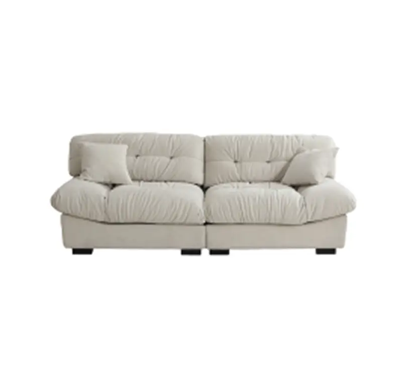 Soffice Pet-friendly Loveseat Sofa
