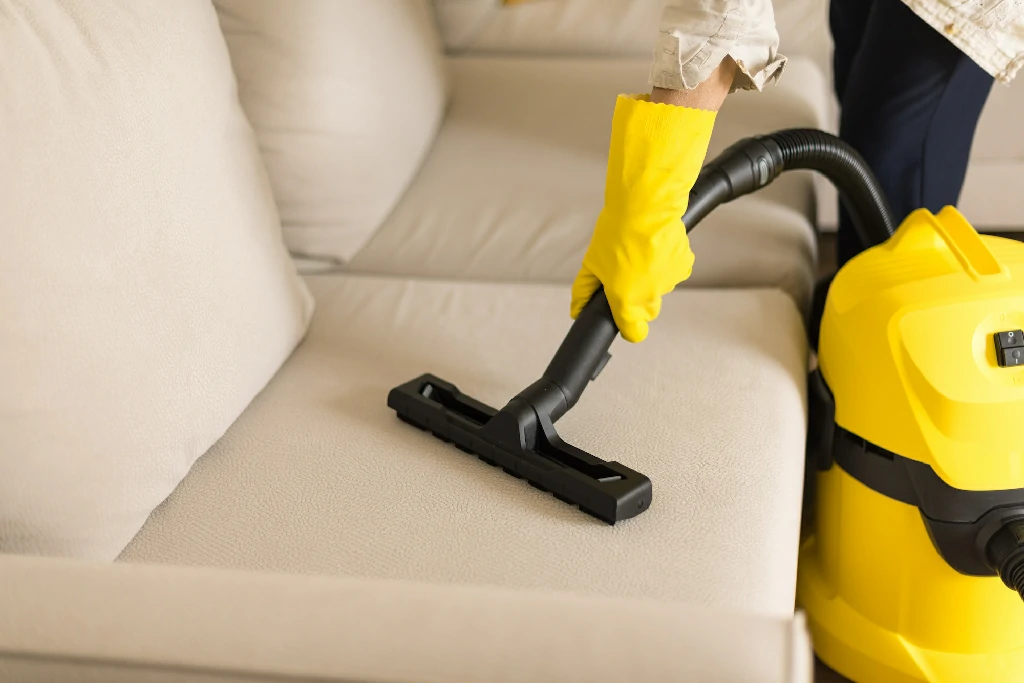 Vacuum Cleaning Sofa