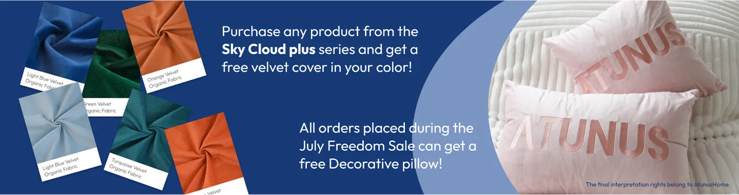 July-Freedom Sale Cushion