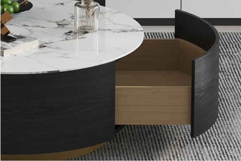 Terra Lunar Coffee Table with Two Spacious Storage Drawers for Organization