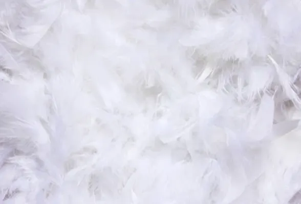 Plush Down Layer