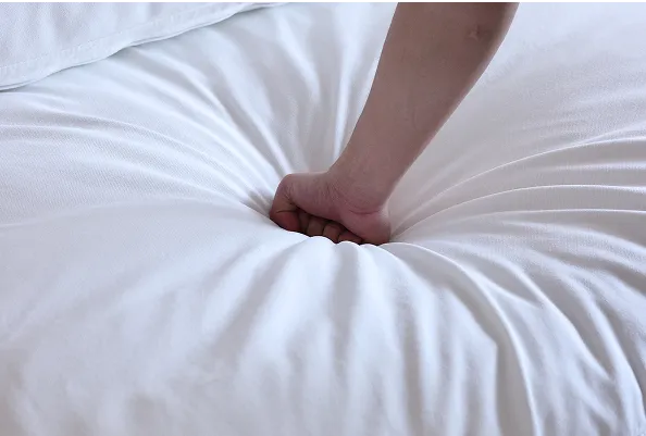 Sky Cloud Sectional Sofa Plush Cushion Detail