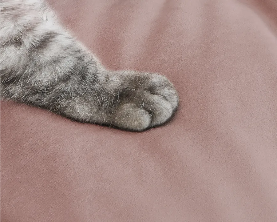 Urban Loveseat Sofa pet-friendly feature demonstration