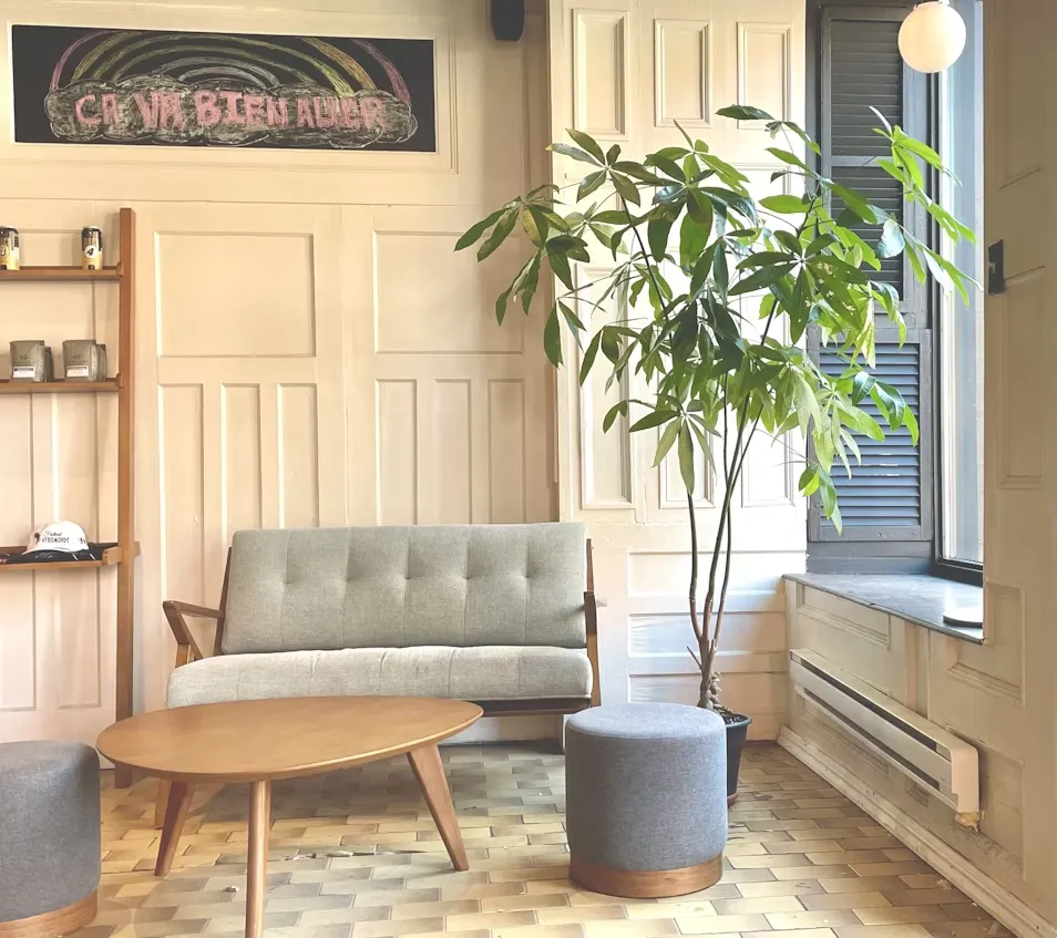 Modular Sofa In Café