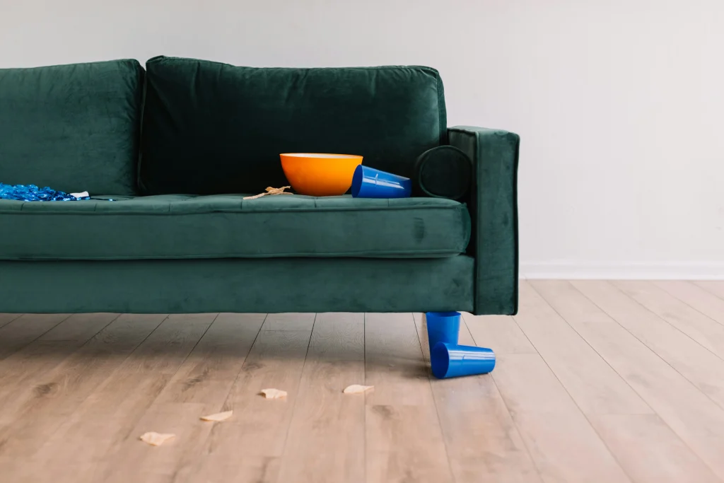 Aftermath Of A Party Of Washable Sofa