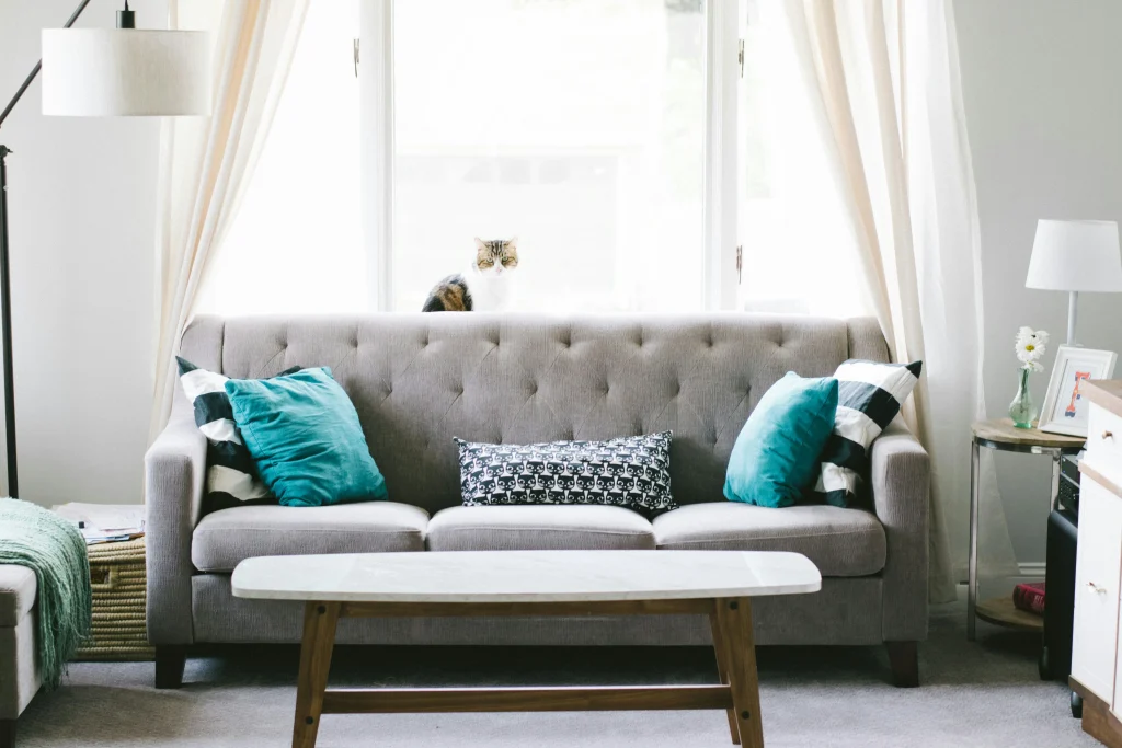 Washable Sofa1