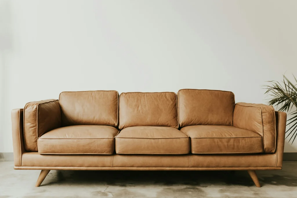 Washable Sofas