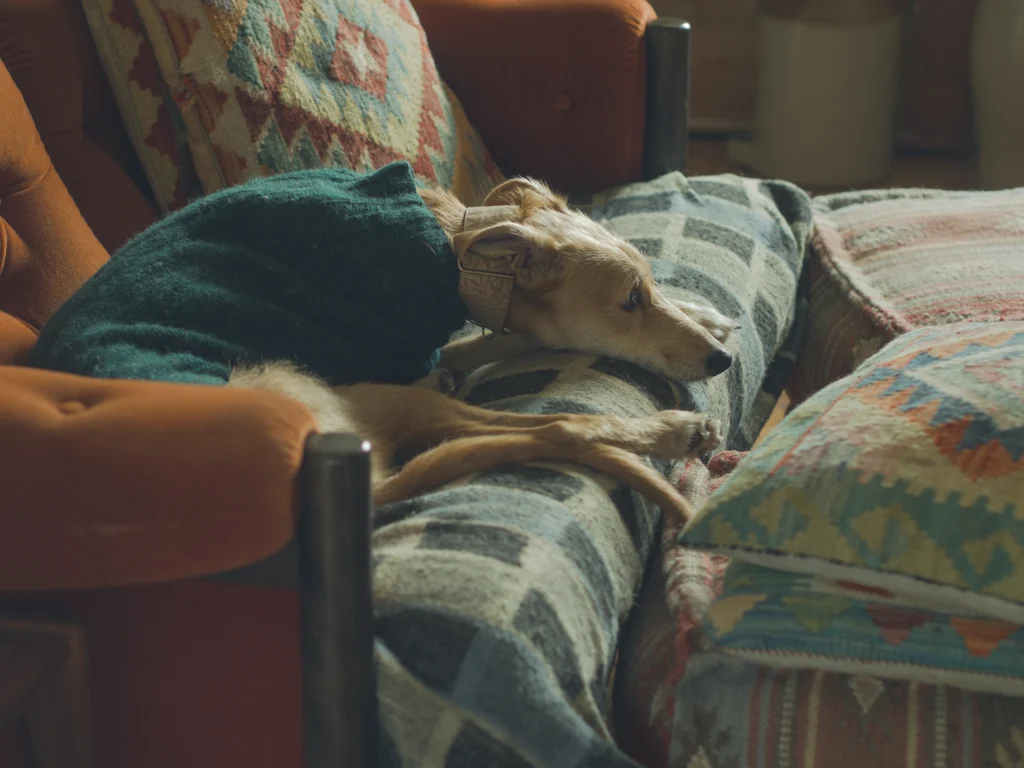 Winter Sofa 2