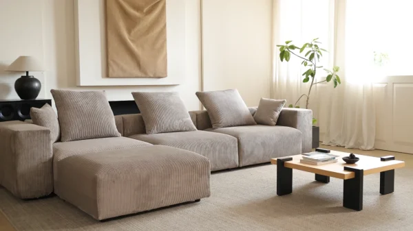 pair grey sofa with neutral tones