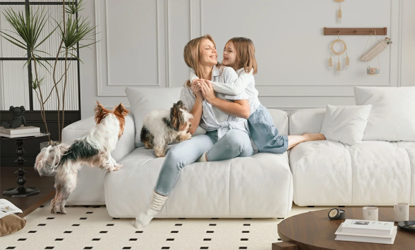 dogs like to jump on the couch